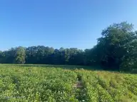 0 Stott Road, Bailey, NC 27807 — lot, Bailey, NC, photo 6 of 12: 0 Stott Rd. Bailey, NC Pic-5