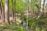 0 Nc-903, Stokes, NC 27884 — lot, Stokes, NC, photo 9 of 28: Stokes Tract 28