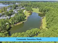 103 133 Greenbriar Lane, Washington, NC 27889 — waterfront lot in Pamlico Plantation, Washington, NC, photo 17 of 18: PP-Ponds