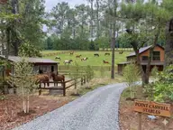 0 1 Nc Highway 210 Road, Currie, NC 28435 — lot, Currie, NC, photo 3 of 10
