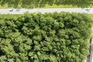 1750 TRACT 5 GJ Norris N Carolina Hwy 58, Peletier, NC 28584 — lot, Peletier, NC, photo 15 of 26: Frontage on Hwy 58