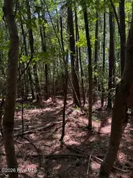 Lot 1 Dan Road, Robbins, NC 27325 — lot, Robbins, NC, photo 16 of 20