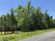 0 2 & 3 Little Prong Road NW, Ash, NC 28420 — lot, Ash, NC, photo 3 of 7: ERS 3