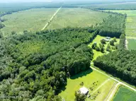 000 S Wisteria Lane, Willard, NC 28478 — lot, Willard, NC, photo 9 of 10