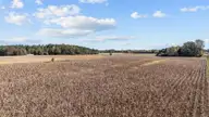 0 5-3 Nc 43, Whitakers, NC 27891 — lot, Whitakers, NC, photo 16 of 17: 16-web-or-mls-DJI_20251024135645_0355_D