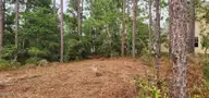 4 4&5 Pike Road, Boiling Spring Lakes, NC 28461 — waterfront lot in Boiling Spring Lakes, Boiling Spring Lakes, NC, photo 23 of 45