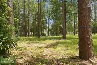 55 Apawamis Circle, Pinehurst, NC 28374 — waterfront lot in CCNC, Pinehurst, NC, photo 10 of 19: 15-web-or-mls-DSC04861