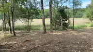 8806 306 Ramsbury Way, Wilmington, NC 28411 — waterfront lot in Plantation Landing, Wilmington, NC, photo 1 of 16: Marshview