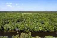 0 Riverview Drive, Burgaw, NC 28425 — waterfront lot in Alligator Lakes Estates, Burgaw, NC, photo 1 of 25: Aerial