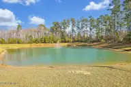 1518 W White Egret Lane NE Lot 741, Bolivia, NC 28422 — 4-bedroom home in Eagle Creek, Bolivia, NC, photo 22 of 43: EagleCreek-04