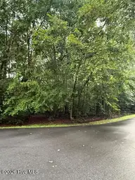 1542 Green Meadow Lane, Rocky Mount, NC 27804 — lot in Green Hills, Rocky Mount, NC, photo 2 of 2: Street view
