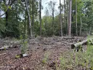124 34, Blounts Creek, NC 27814 — lot in Crystal Beach, Blounts Creek, NC, photo 5 of 13: IMG_2482