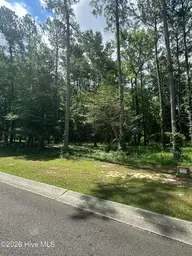 201 233 Lockhaven Drive SE, Bolivia, NC 28422 — lot in Riversea  Plantation, Bolivia, NC, photo 3 of 46: IMG_5559