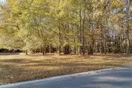 266 102 Red Fox Run Drive, Wallace, NC 28466 — lot in River Landing, Wallace, NC, photo 3 of 18: 266redfox3