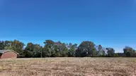 8 C-8 S Nc 41 Highway, Wallace, NC 28466 — lot, Wallace, NC, photo 1 of 2: Lot C-8