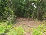 0 Englishtown Road, Willard, NC 28478 — lot, Willard, NC, photo 7 of 9