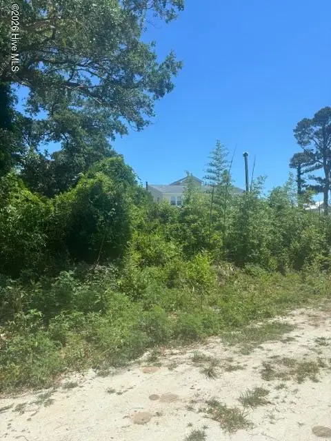 1006 8 State Avenue, Wilmington, NC 28409 — lot, Wilmington, NC, photo 1 of 1: front view
