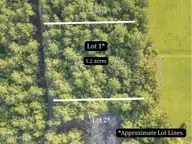 0 Us Hwy 117 N Lot 1, Willard, NC 28478 — 4-bedroom manufactured home, Willard, NC, photo 1 of 22