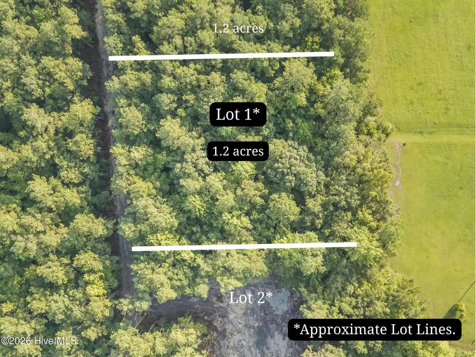 0 Us Hwy 117 N Lot 1, Willard, NC 28478 — 4-bedroom manufactured home, Willard, NC, photo 1 of 22