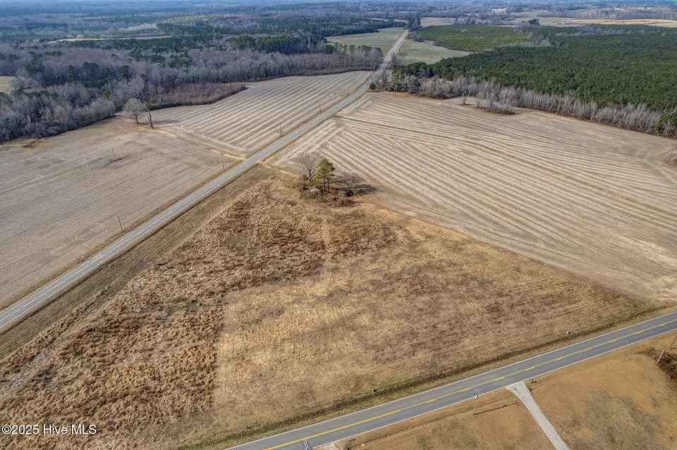 Lot 3 3 Red Oak Road, Whitakers, NC 27891 — lot, Whitakers, NC, photo 1 of 5: front