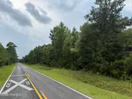 0 Old Sandhill Road, Edward, NC 27821 — lot, Edward, NC, photo 19 of 23: IMG_1795 2