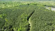 Off Speights Chapel Road, Whitakers, NC 27891 — lot, Whitakers, NC, photo 10 of 57: DJI_0579
