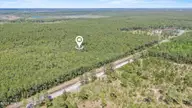 Lot #267 267 Plantation Road, Wilmington, NC 28411 — lot in Greenview Ranches, Wilmington, NC, photo 5 of 15: 9_drone