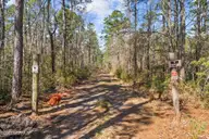 Lot222&232 Plantation Road, Wilmington, NC 28411 — lot in Greenview Ranches, Wilmington, NC, photo 8 of 12: 8-web-or-mls-DSC08708