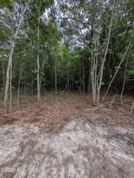 Tbd 2R-3 Peyton Drive, Eagle Springs, NC 27242 — lot, Eagle Springs, NC, photo 7 of 11: PXL_20260707_210736380