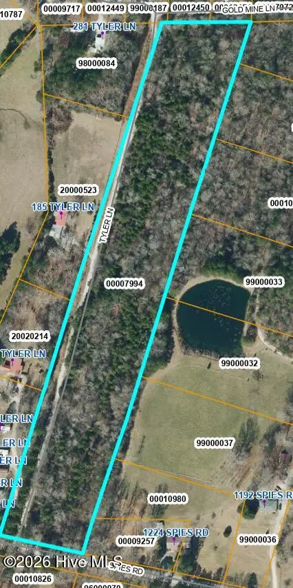 0 Spies Road, Robbins, NC 27325 — lot, Robbins, NC, photo 1 of 1: GIS