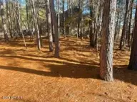 847 4565 Seagull Drive, Vass, NC 28394 — waterfront lot in Woodlake, Vass, NC, photo 2 of 7: 847 Seagull