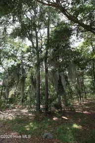 1901 244 Redfish Run SW, Supply, NC 28462 — waterfront lot in Oyster Harbour, Supply, NC, photo 5 of 62