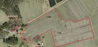 0 Sr 1918 Road, Aurora, NC 27806 — lot, Aurora, NC, photo 5 of 54: Screenshot 2025-05-08 at 10.32.27AM