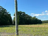 000 Willis Farm Tract-2 Road, Newport, NC 28570 — lot, Newport, NC, photo 2 of 5: IMG_0053