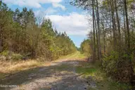 0 Nc-903, Stokes, NC 27884 — lot, Stokes, NC, photo 8 of 28: Stokes Tract 3
