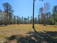 Lot 33 33 Bailey Pointe Drive, Belhaven, NC 27810 — waterfront lot in Bailey Pointe, Belhaven, NC, photo 8 of 22