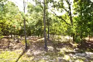1035 Mill Road, Jackson Springs, NC 27281 — lot, Jackson Springs, NC, photo 2 of 5: Mill Road