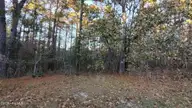 4 Brassie Circle, Jackson Springs, NC 27281 — lot in Foxfire Village East, Jackson Springs, NC, photo 5 of 25