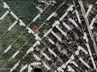 .73 Acres Beech Road, Boiling Spring Lakes, NC 28461 — lot, Boiling Spring Lakes, NC, photo 2 of 4: picture 1