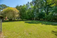 207 Centre Street, Tarboro, NC 27886 — 3-bedroom home in Lyndale Acres, Tarboro, NC, photo 15 of 15: Backyard