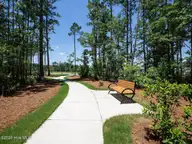 5436 Mistflower Street Lot 1029, Leland, NC 28451 — 3-bedroom townhome in Indigo Preserve, Leland, NC, photo 21 of 40