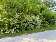 200 Regalwood Drive, Jacksonville, NC 28546 — lot in Regalwoods, Jacksonville, NC, photo 2 of 5: Regalwood