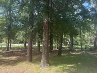 5596 Sycamore Street, Wilmington, NC 28403 — 3-bedroom manufactured home in Greenwood Estates, Wilmington, NC, photo 4 of 4