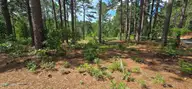 101 3207R Owens Circle, Seven Lakes, NC 27376 — waterfront lot in Seven Lakes West, Seven Lakes, NC, photo 6 of 6: 101 Owens Pic