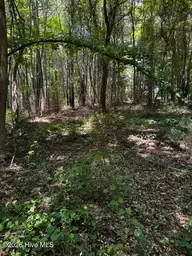Lot 1 Dan Road, Robbins, NC 27325 — lot, Robbins, NC, photo 6 of 20