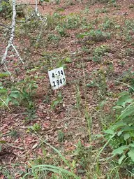 2942 34 Sugar Sand Drive SE, Bolivia, NC 28422 — lot in River Run Plantation, Bolivia, NC, photo 4 of 10