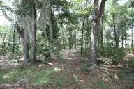 1901 244 Redfish Run SW, Supply, NC 28462 — waterfront lot in Oyster Harbour, Supply, NC, photo 7 of 62