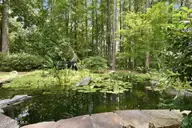 497 Clearfield Lane E, Southern Pines, NC 28387 — 4-bedroom home in Sandhurst, Southern Pines, NC, photo 4 of 55