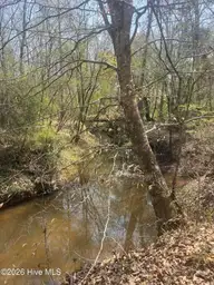 Tbd Healing Acres Lane, Carthage, NC 28327 — lot, Carthage, NC, photo 4 of 19: IMG_3176