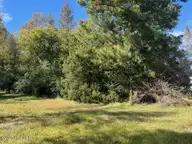 4275 Gum Branch Road, Jacksonville, NC 28540 — lot, Jacksonville, NC, photo 9 of 15: thumbnail_IMG_3527